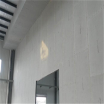 广昌宁波ALC板|EPS加气板隔墙与混凝土整浇联接的实验研讨